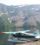 Seaplane and Salmon Rendezvous